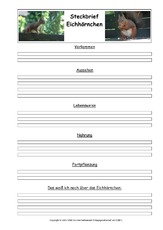 Eichhörnchen-Steckbriefvorlage-2.pdf